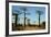 Madagascar, Morondava, Baobab Alley, Tourist Taking Pictures-Anthony Asael-Framed Photographic Print