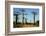 Madagascar, Morondava, Baobab Alley, Tourist Taking Pictures-Anthony Asael-Framed Photographic Print