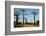 Madagascar, Morondava, Baobab Alley, Tourist Taking Pictures-Anthony Asael-Framed Photographic Print