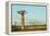 Madagascar, Morondava, Baobab Alley, View on Adansonia Grandidieri-Anthony Asael-Framed Premier Image Canvas