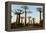 Madagascar, Morondava, Baobab Alley, View on Adansonia Grandidieri-Anthony Asael-Framed Premier Image Canvas