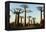 Madagascar, Morondava, Baobab Alley, View on Adansonia Grandidieri-Anthony Asael-Framed Premier Image Canvas