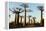 Madagascar, Morondava, Baobab Alley, View on Adansonia Grandidieri-Anthony Asael-Framed Premier Image Canvas