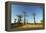 Madagascar, Morondava, Baobab Alley, View on Adansonia Grandidieri-Anthony Asael-Framed Premier Image Canvas