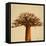 Madagascar Safari I-Patricia Pinto-Framed Stretched Canvas