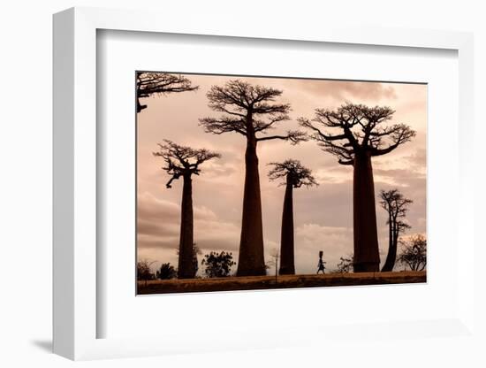 Madagascar-Dan Mirica-Framed Photographic Print