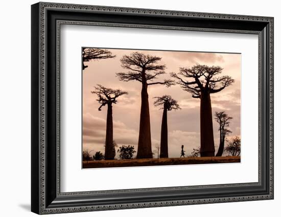 Madagascar-Dan Mirica-Framed Photographic Print