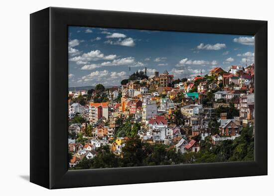 Madagascar-mihtiander-Framed Premier Image Canvas