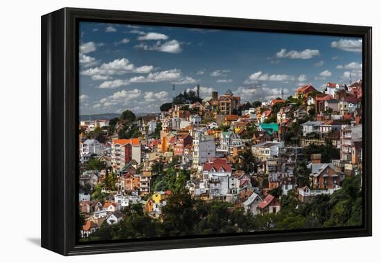 Madagascar-mihtiander-Framed Premier Image Canvas