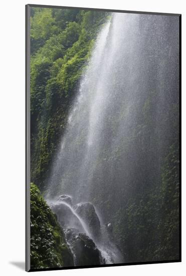 Madakaripura Waterfall, East Java, Indonesia-Keren Su-Mounted Photographic Print