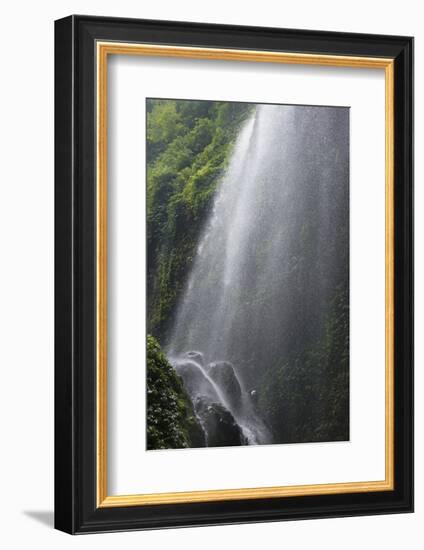 Madakaripura Waterfall, East Java, Indonesia-Keren Su-Framed Photographic Print