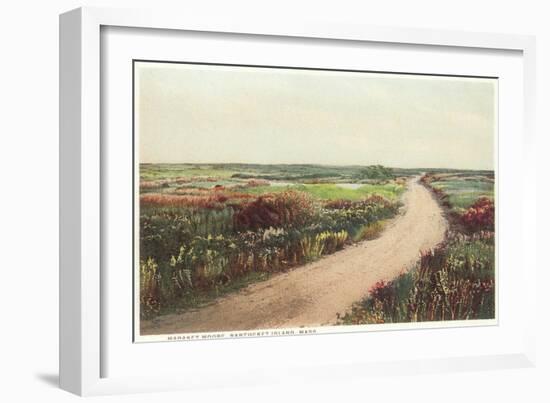 Madaket Moor, Nantucket, Massachusetts-null-Framed Art Print