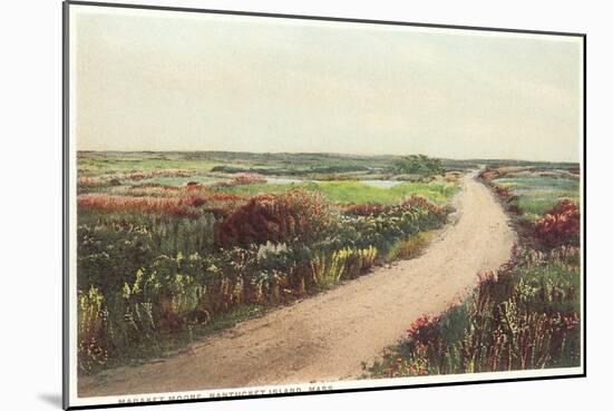 Madaket Moor, Nantucket, Massachusetts-null-Mounted Art Print