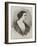 Madame Guerrabella, of the Royal English Opera, Covent Garden-Thomas Harrington Wilson-Framed Giclee Print