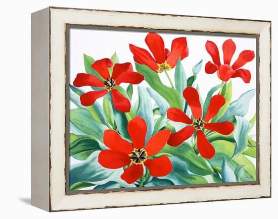 Madame Lefeber Tulips 2-Christopher Ryland-Framed Premier Image Canvas