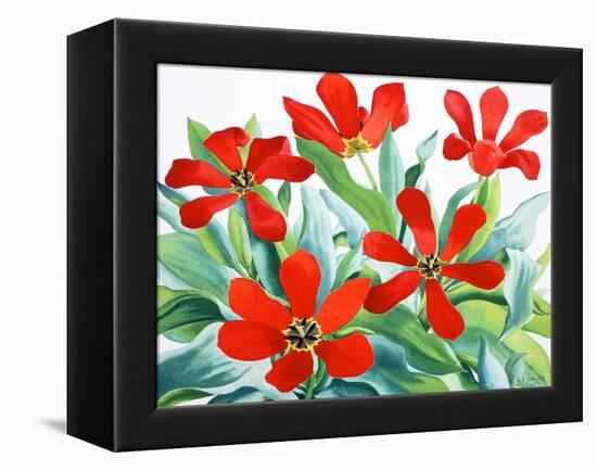 Madame Lefeber Tulips 2-Christopher Ryland-Framed Premier Image Canvas
