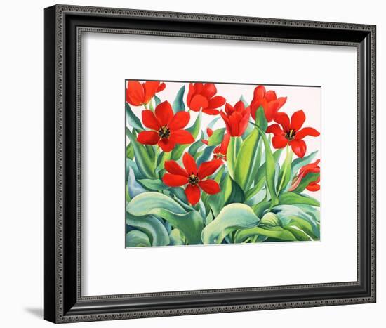 Madame Lefeber Tulips-Christopher Ryland-Framed Giclee Print