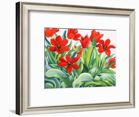 Madame Lefeber Tulips-Christopher Ryland-Framed Giclee Print