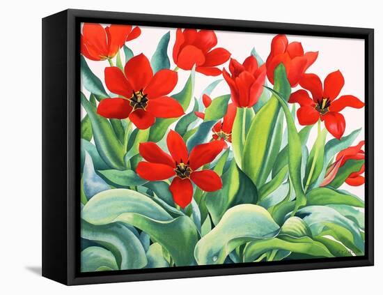 Madame Lefeber Tulips-Christopher Ryland-Framed Premier Image Canvas