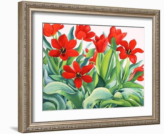 Madame Lefeber Tulips-Christopher Ryland-Framed Giclee Print