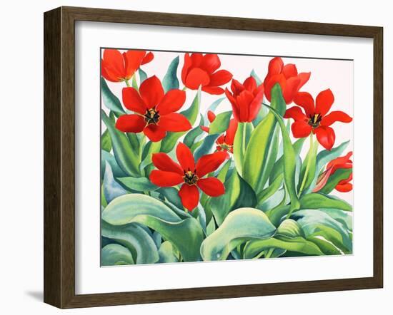 Madame Lefeber Tulips-Christopher Ryland-Framed Giclee Print