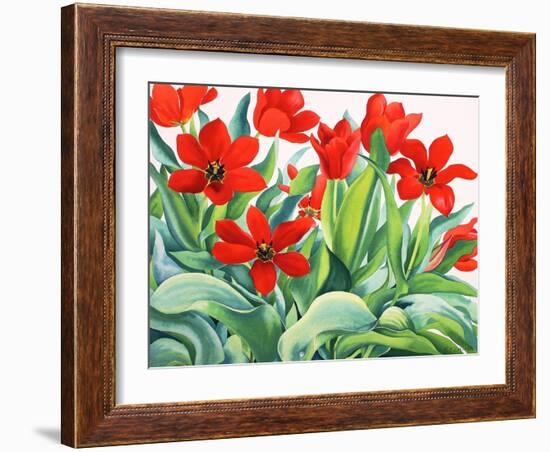 Madame Lefeber Tulips-Christopher Ryland-Framed Giclee Print