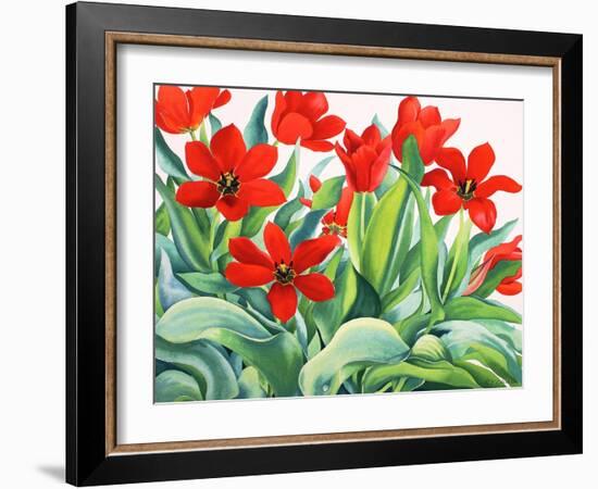 Madame Lefeber Tulips-Christopher Ryland-Framed Giclee Print