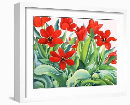 Madame Lefeber Tulips-Christopher Ryland-Framed Giclee Print