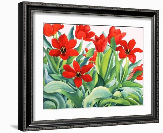 Madame Lefeber Tulips-Christopher Ryland-Framed Giclee Print