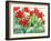 Madame Lefeber Tulips-Christopher Ryland-Framed Giclee Print