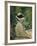 Madame Manet Im Garten Von Bellevue-Edouard Manet-Framed Giclee Print