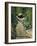 Madame Manet Im Garten Von Bellevue-Edouard Manet-Framed Giclee Print