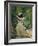 Madame Manet Im Garten Von Bellevue-Edouard Manet-Framed Giclee Print