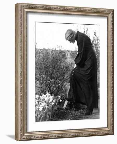 Madame Maud Gonne MacBride Working in Her Garden-John Phillips-Framed Photographic Print