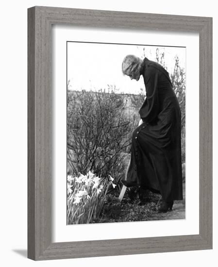 Madame Maud Gonne MacBride Working in Her Garden-John Phillips-Framed Photographic Print