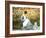 Madame Monet and Child in a Garden-Claude Monet-Framed Giclee Print