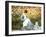 Madame Monet and Child in a Garden-Claude Monet-Framed Giclee Print