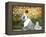 Madame Monet and Child in a Garden-Claude Monet-Framed Premier Image Canvas