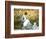 Madame Monet and Child in a Garden-Claude Monet-Framed Giclee Print