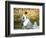 Madame Monet and Child in a Garden-Claude Monet-Framed Giclee Print