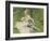 Madame Monet and Her Son, 1874-Pierre-Auguste Renoir-Framed Art Print