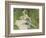 Madame Monet and Her Son, 1874-Pierre-Auguste Renoir-Framed Art Print