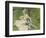 Madame Monet and Her Son, 1874-Pierre-Auguste Renoir-Framed Giclee Print