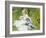 Madame Monet and Her Son-Pierre-Auguste Renoir-Framed Giclee Print