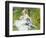 Madame Monet and Her Son-Pierre-Auguste Renoir-Framed Giclee Print