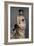 Madame Paul Poirson, 1885-John Singer Sargent-Framed Giclee Print