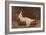 'Madame Recamier', 1800, (c1915)-Jacques-Louis David-Framed Giclee Print