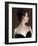 Madame X (detail)-John Singer Sargent-Framed Art Print