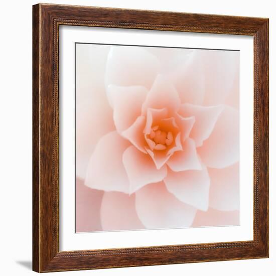 Made For Love-Philippe Sainte-Laudy-Framed Photographic Print