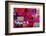 Made in Spain Collection - Colourful Blind II-Philippe Hugonnard-Framed Photographic Print